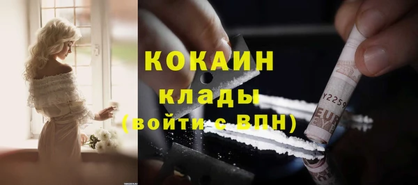 стаф Аркадак