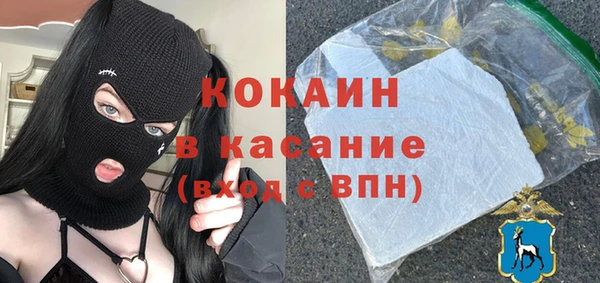 стаф Аркадак