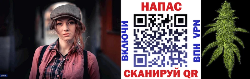 Каннабис индика  Ряжск 